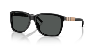 BURBERRY SUNGLASSES BE4181 300187 58