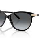 0BE4216__3001T3__P21__shad__qt.png