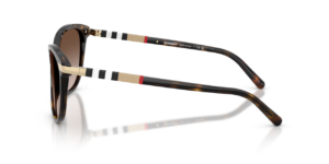 0BE4216__300213__P21__shad__lt.png
