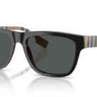 0BE4293__380687__P21__shad__qt.png