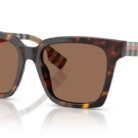 0BE4335__390373__P21__shad__qt.png