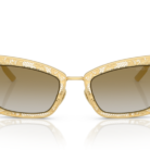 0DG2311__12246E__P21__shad__fr.png