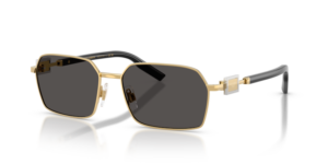 DOLCE & GABBANA SUNGLASS DG2316 31809 56