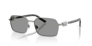 DOLCE & GABBANA SUNGLASS DG2316 45661 56