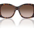 0DG4501__502_13__P21__shad__bk.png