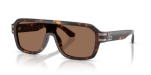 DOLCE & GABBANA SUNGLASS DG4507 502/73 27