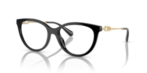 EMPORIO ARMANI SUNGLASS EA4213U 50171W 53