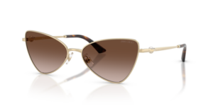 JIMMY CHOO SUNGLASS JC4015HB 300613 57