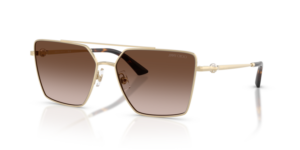 JIMMY CHOO SUNGLASS JC4016HB 300613 58
