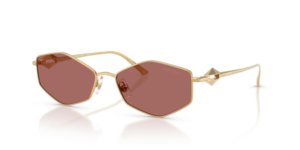 JIMMY CHOO SUNGLASS JC4017 302369 55