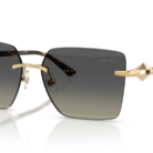 0JC4018__302311__P21__shad__qt.png