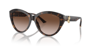 JIMMY CHOO SUNGLASS JC5007 500213 55