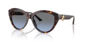 JIMMY CHOO SUNGLASS JC5007 50028F 55