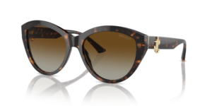 JIMMY CHOO SUNGLASS JC5007 5002T5 55