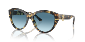 JIMMY CHOO SUNGLASS JC5007 500419 55