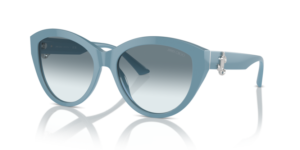 JIMMY CHOO SUNGLASS JC5007 501219 55