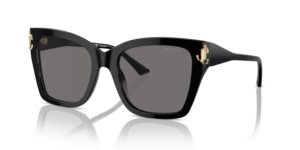 JIMMY CHOO SUNGLASS JC5012 500081 54