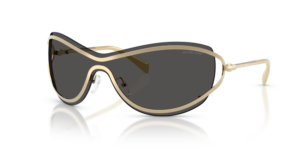 MICHAEL KORS SUNGLASS MK1166 101487 38