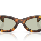 0MU_11WS__14L50O__P21__shad__fr.png