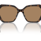 0SK6017__1002M4__P21__shad__bk.png