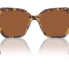 0SK6017__100473__P21__shad__bk.png