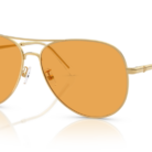 0TY6114__3343_7__P21__shad__qt.png